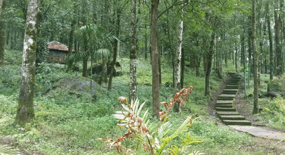 BLUE GINGER WAYANAD RESORTS 39/50