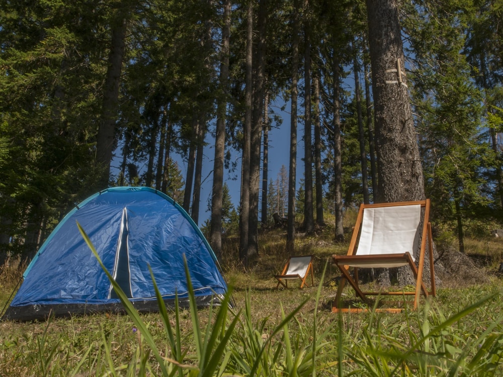 Green Life Family Apartments Pamporovo 30/62