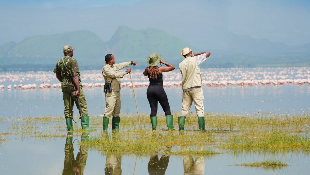 Lake Elmenteita Serena Camp 40/50