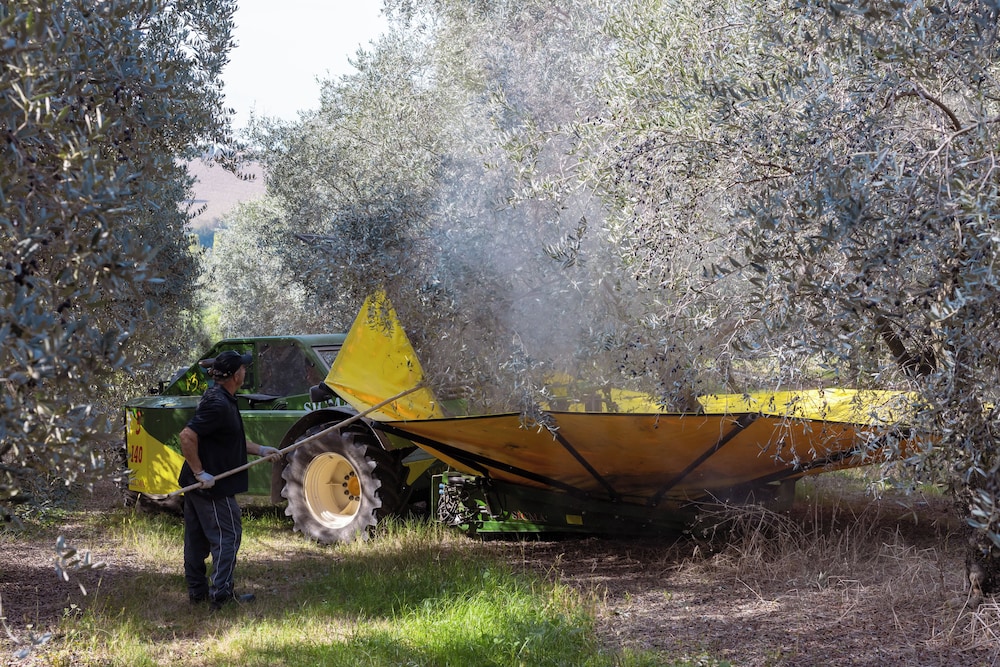 A3Passi Agriturismo tra gli Ulivi 47/50