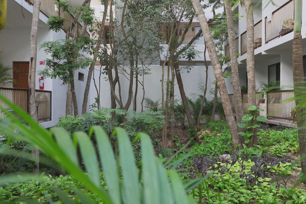 Hotel Blanco Tulum - Adults Only 43/50