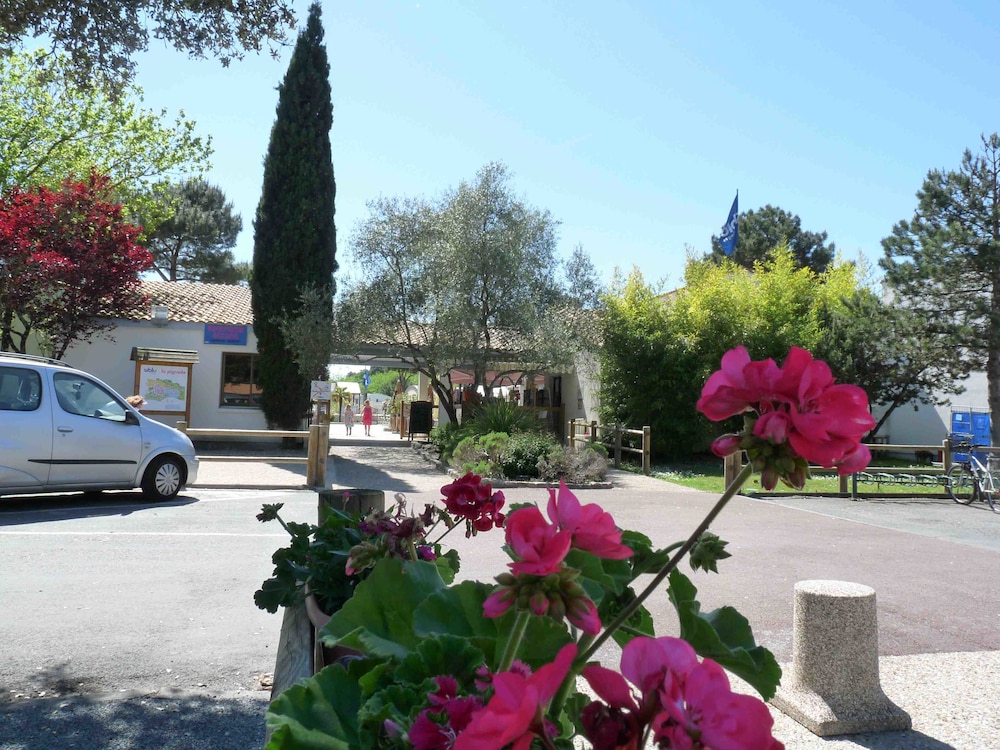 Camping La Pignade 34/50