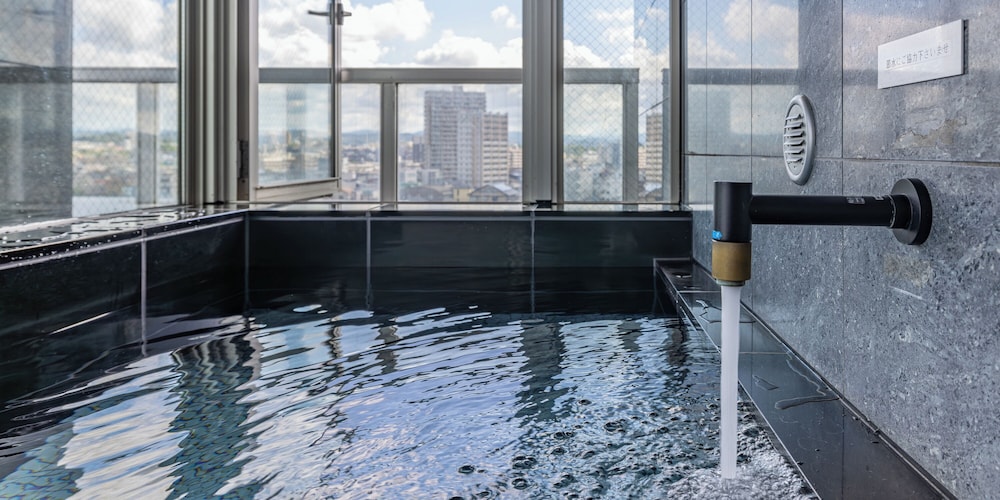 Myhotel Okazaki 32/65