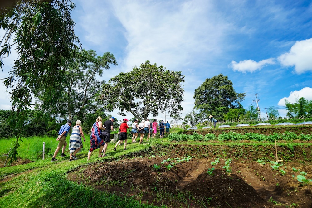 Bagus Agro Pelaga 45/61
