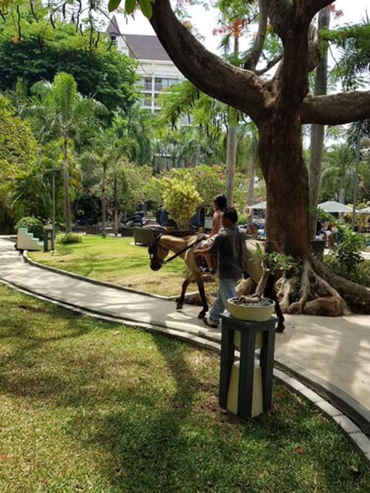 Grand Tropic Suites Hotel Surabaya 22/29