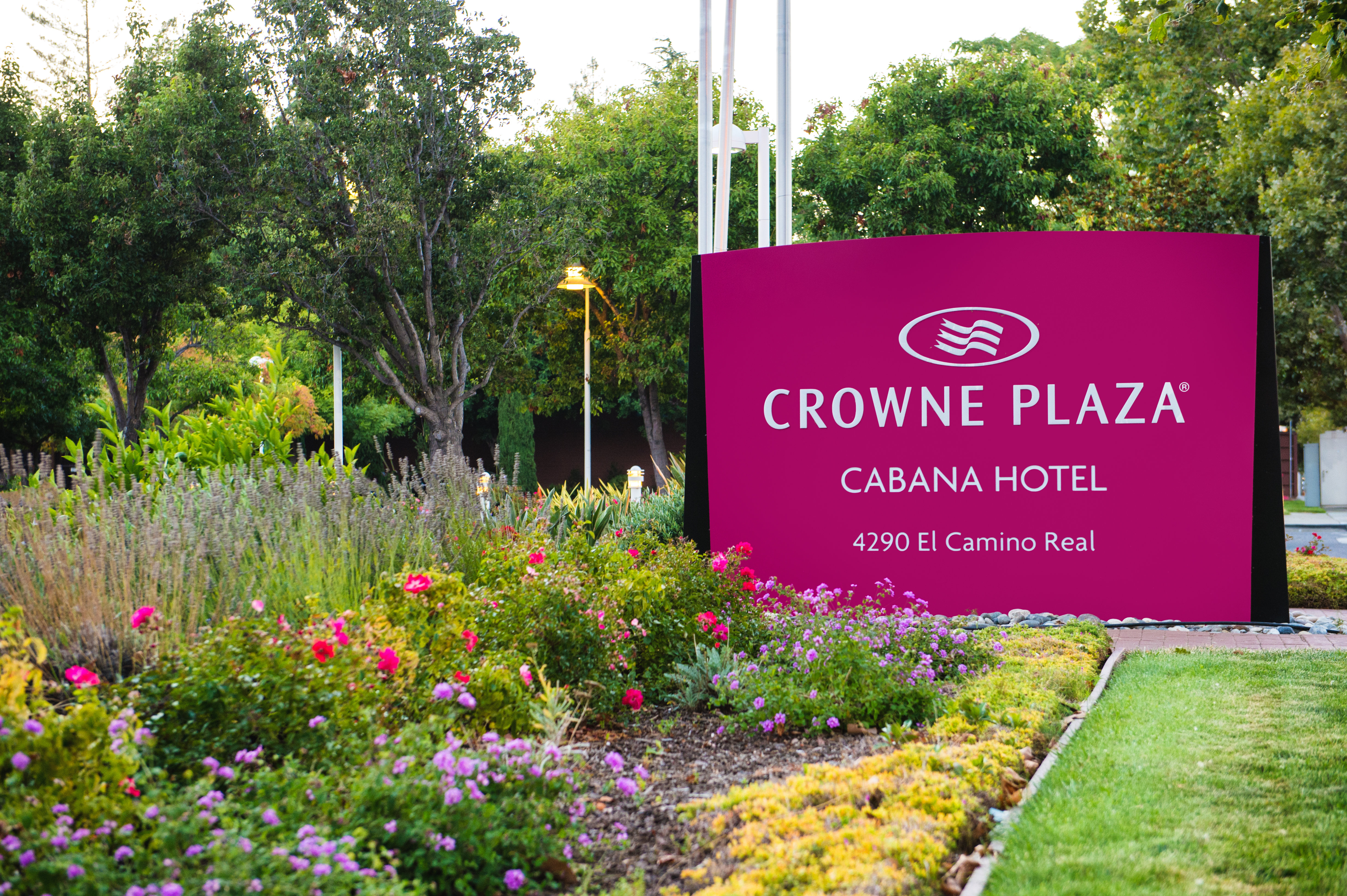 Crowne Plaza Cabana, Palo Alto 12/80