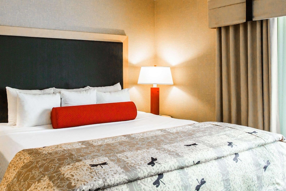 UPGRADE, SUITE, KING BED