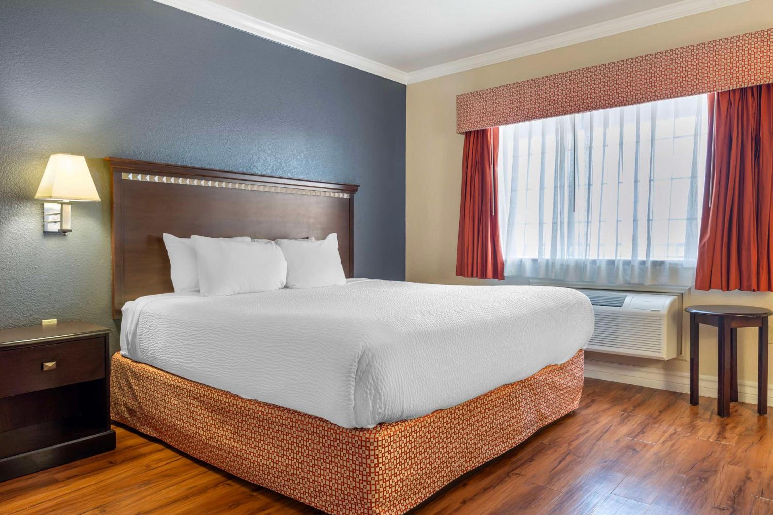 Room, King Bed, Sofa, Bathtub, Accessible