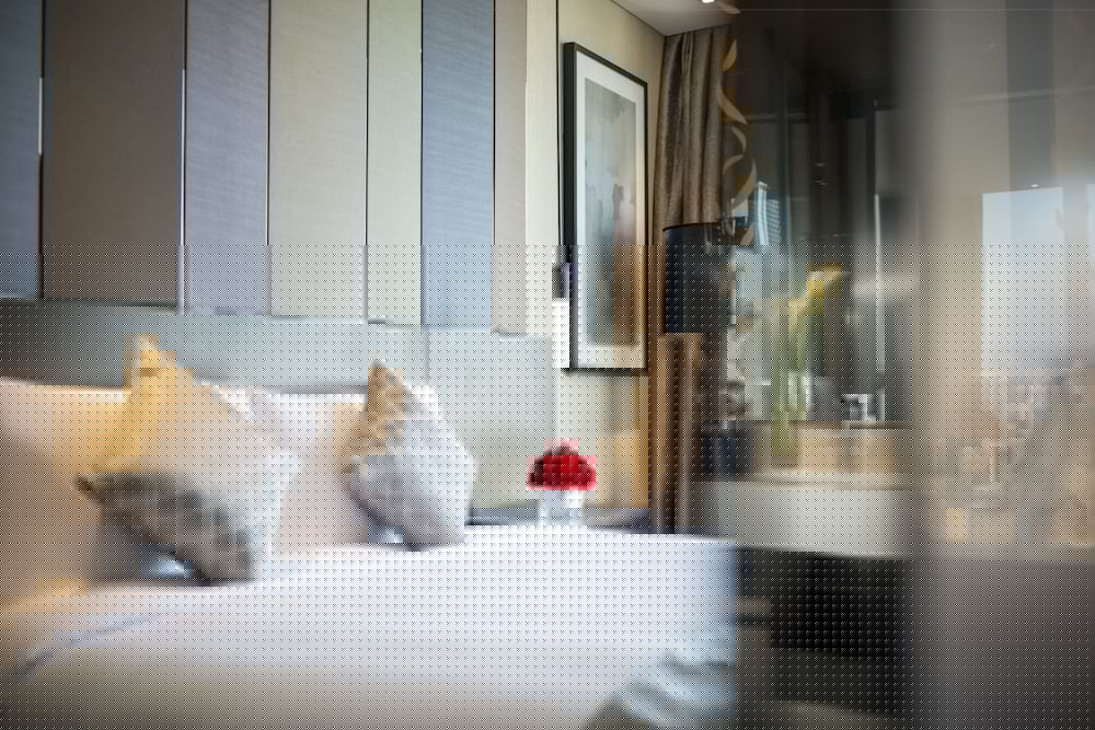 Sofitel Lianyungang Suning 12/71