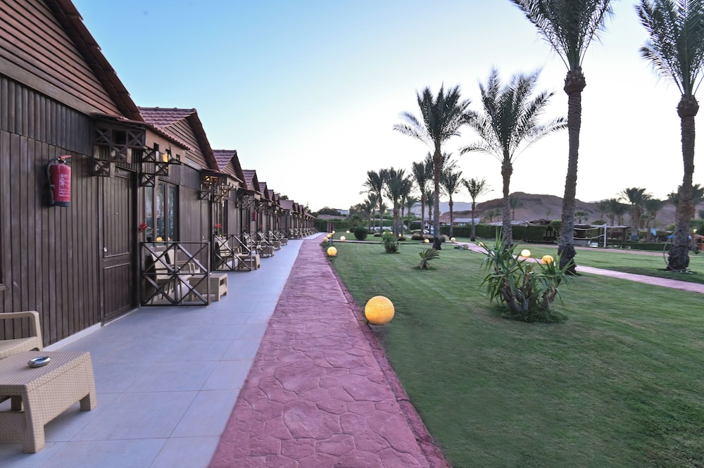 Xperience Golden Sandy Beach 11/50