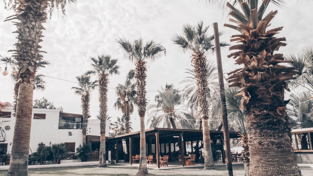 Selvi Beach Hotel 41/48