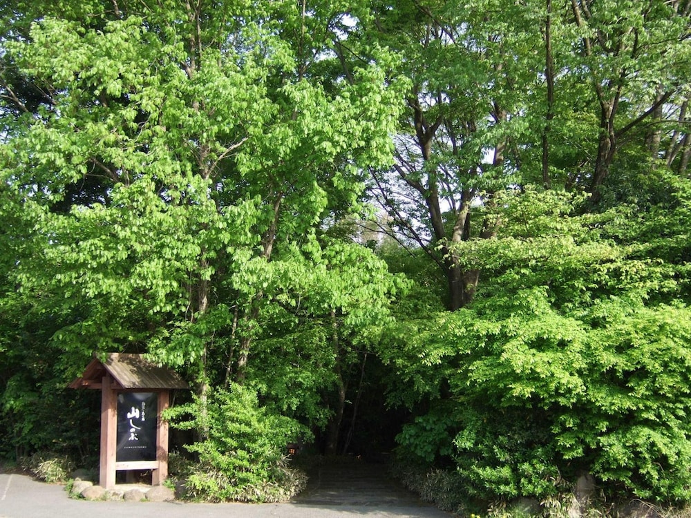 Yamashinobu 45/50