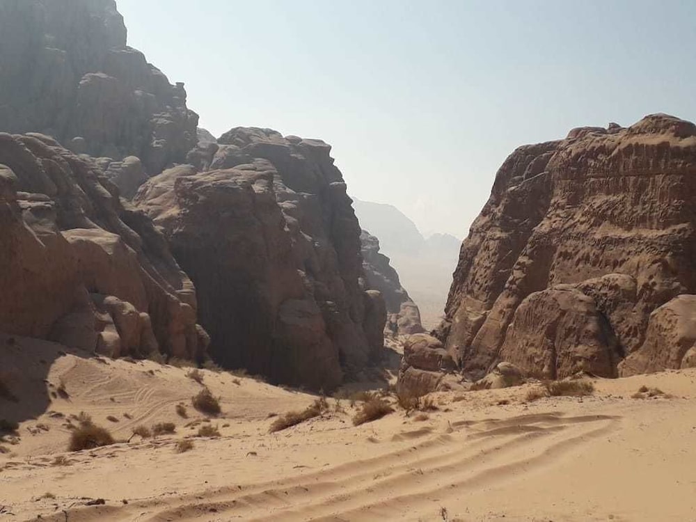 Desert Lovers Camp 24/48