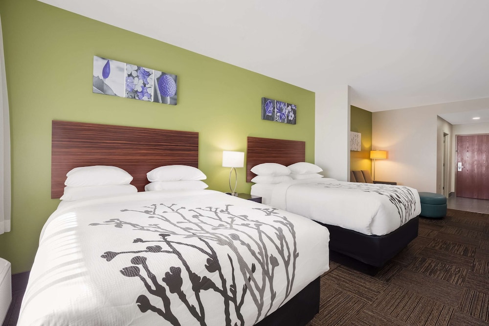 Upgrade, Suite, 2 Double Beds