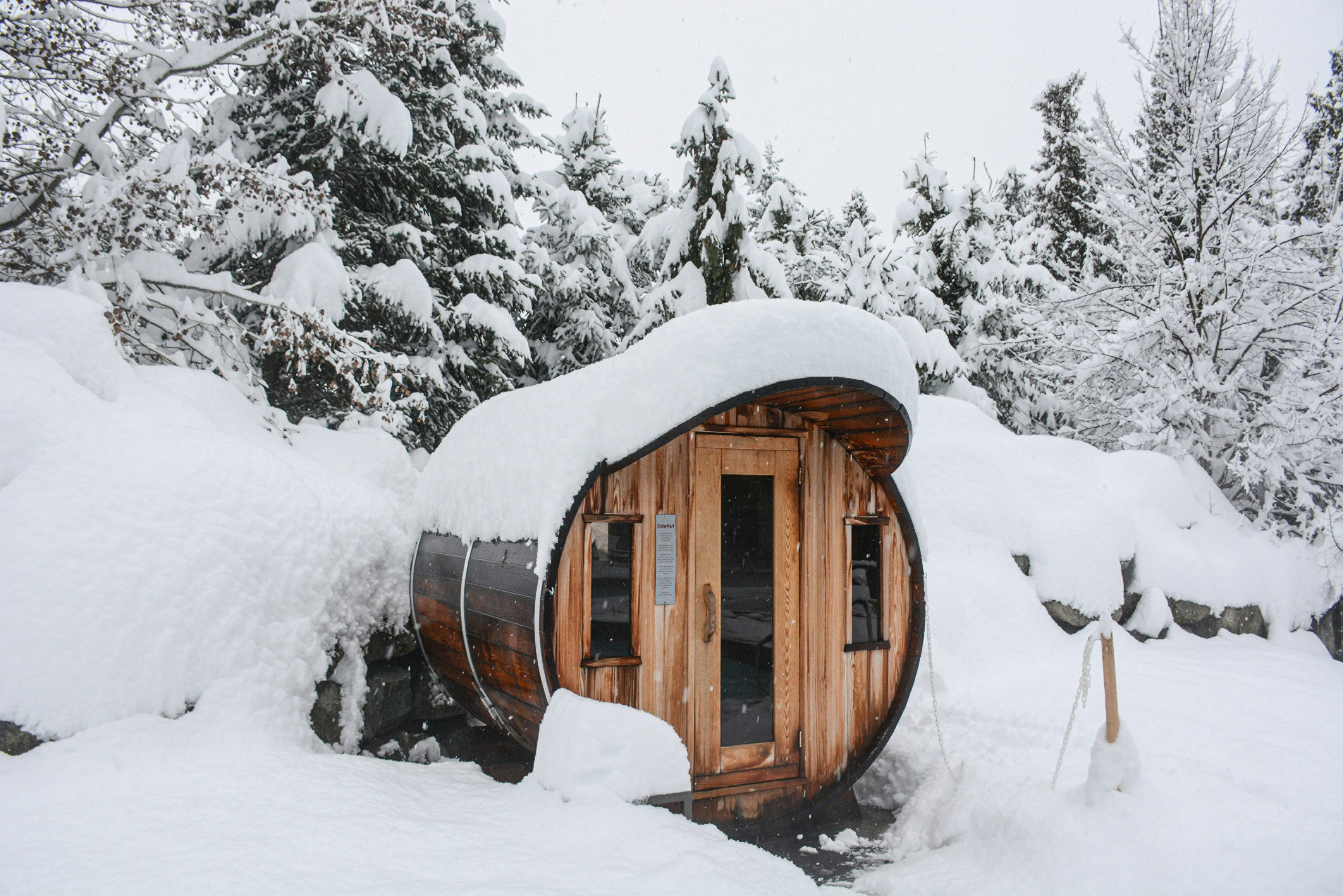 Four Seasons Resort Whistler 10/100