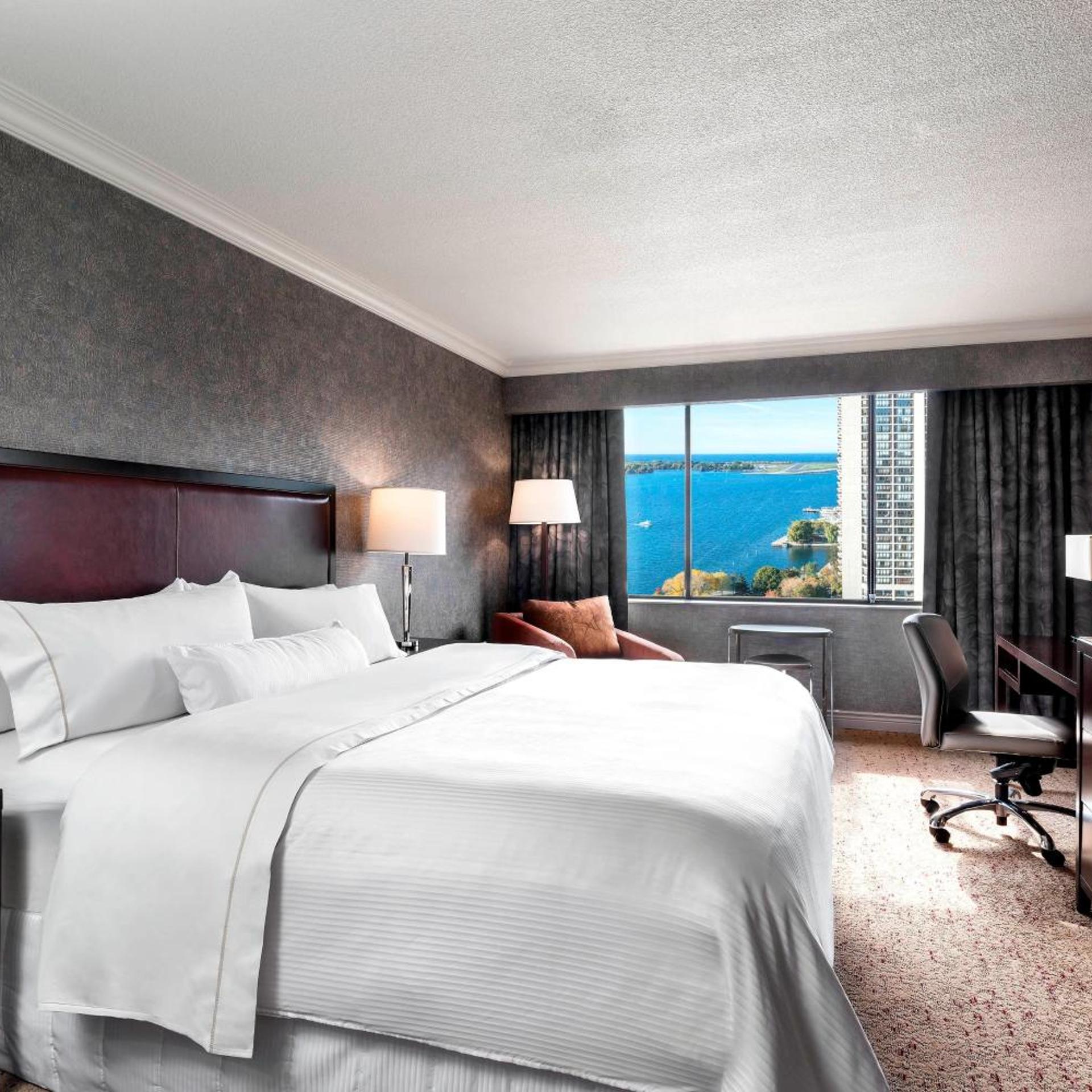 Guest Room, King Bed