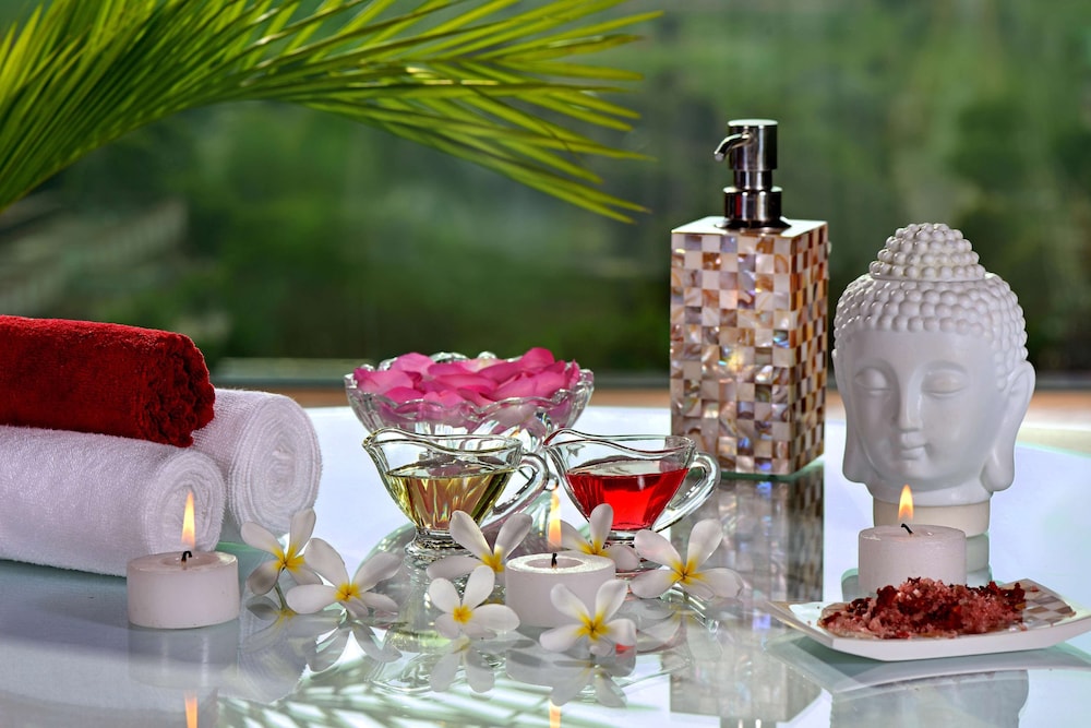Radisson Blu Hotel Jaipur Airport 34/66