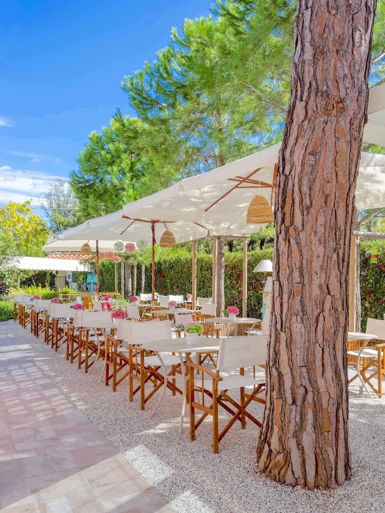 La Pineta Al Mare Hotel 65/68