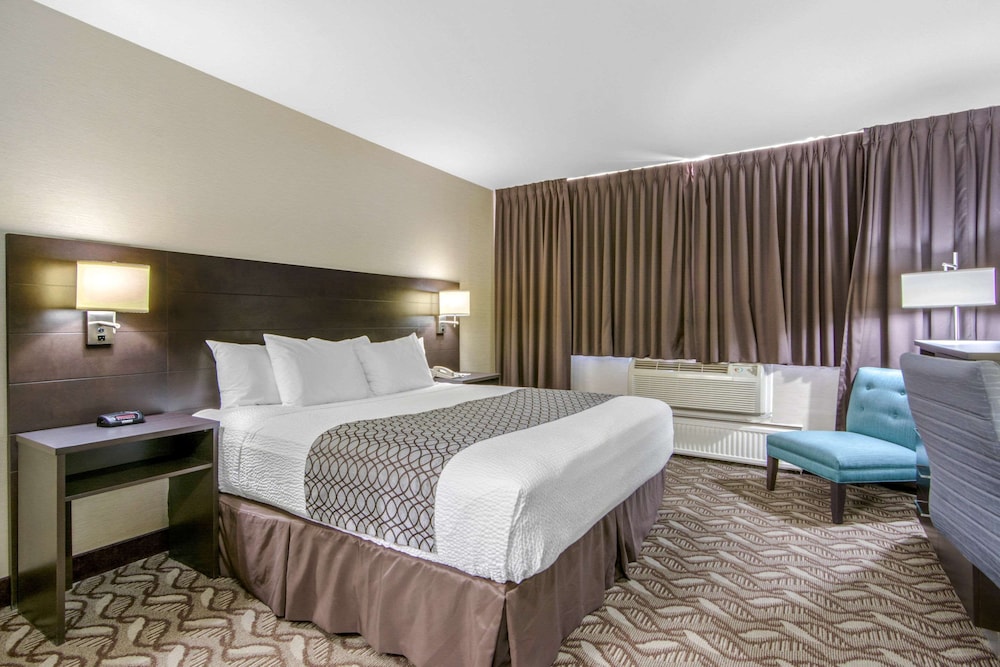 Suite, King Bed