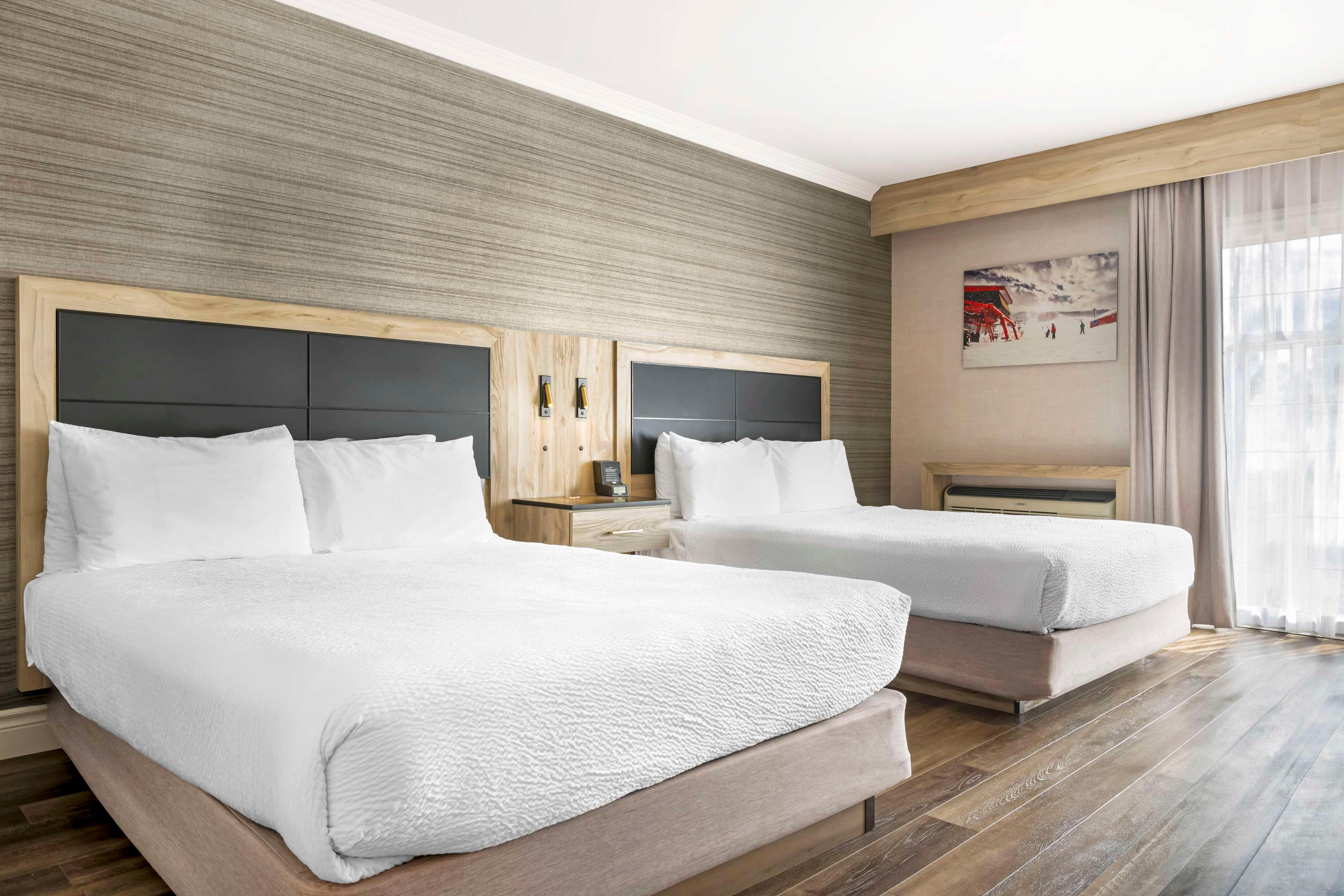 Room, 2 Queen Beds, Front View