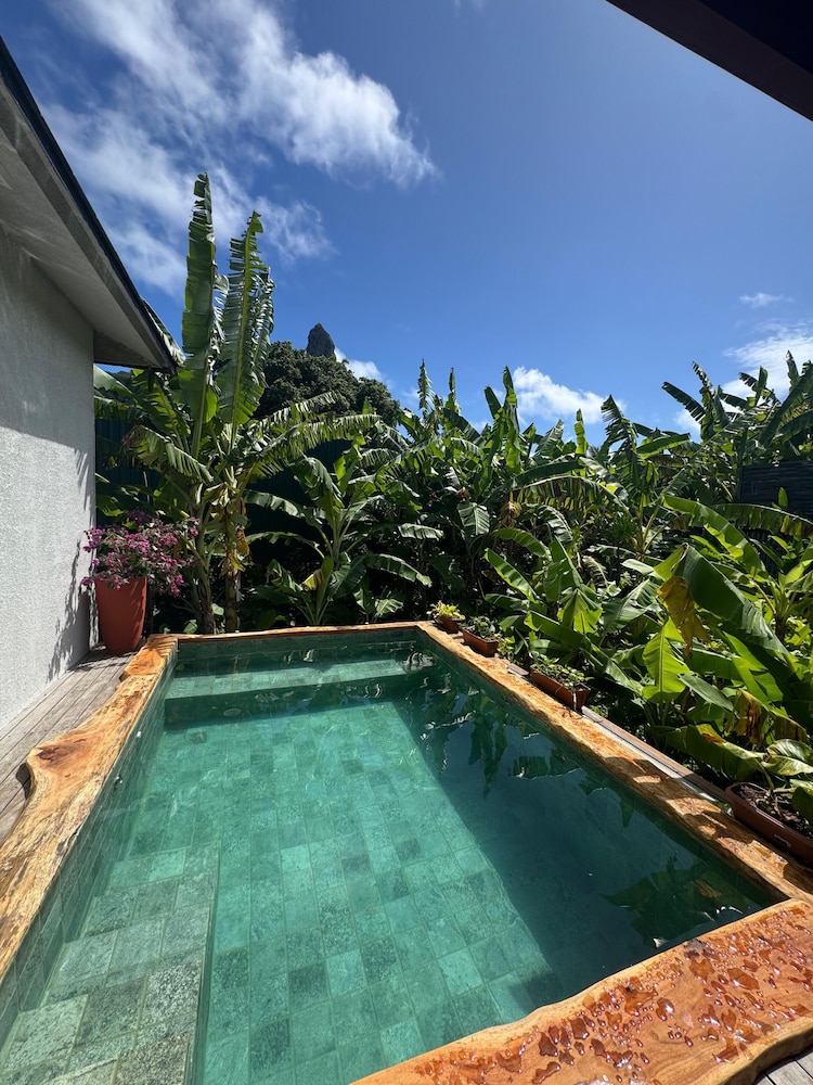 Dolphin Villa Hotel 45/50