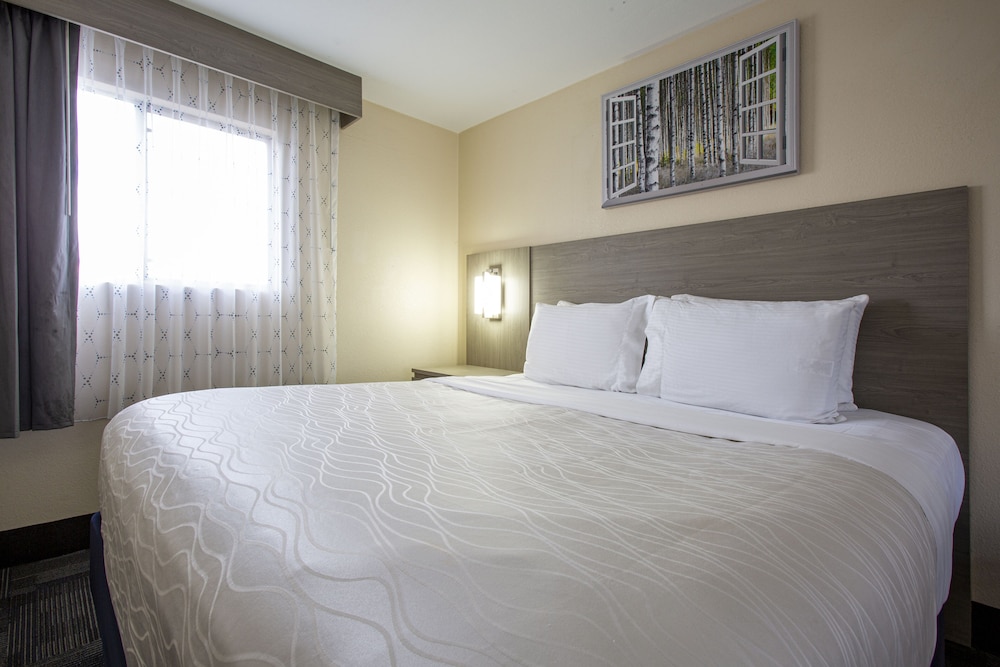 Hotel Aspen Flagstaff Grand Canyon Formerly Aspen Innsuites Flagstaff 16/60