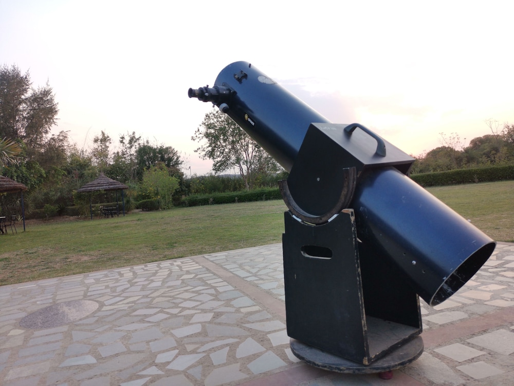Astroport Sariska Treetop by Eight Continents 37/58