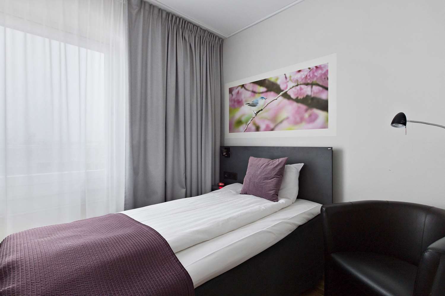 Best Western Plaza Hotel 18/65