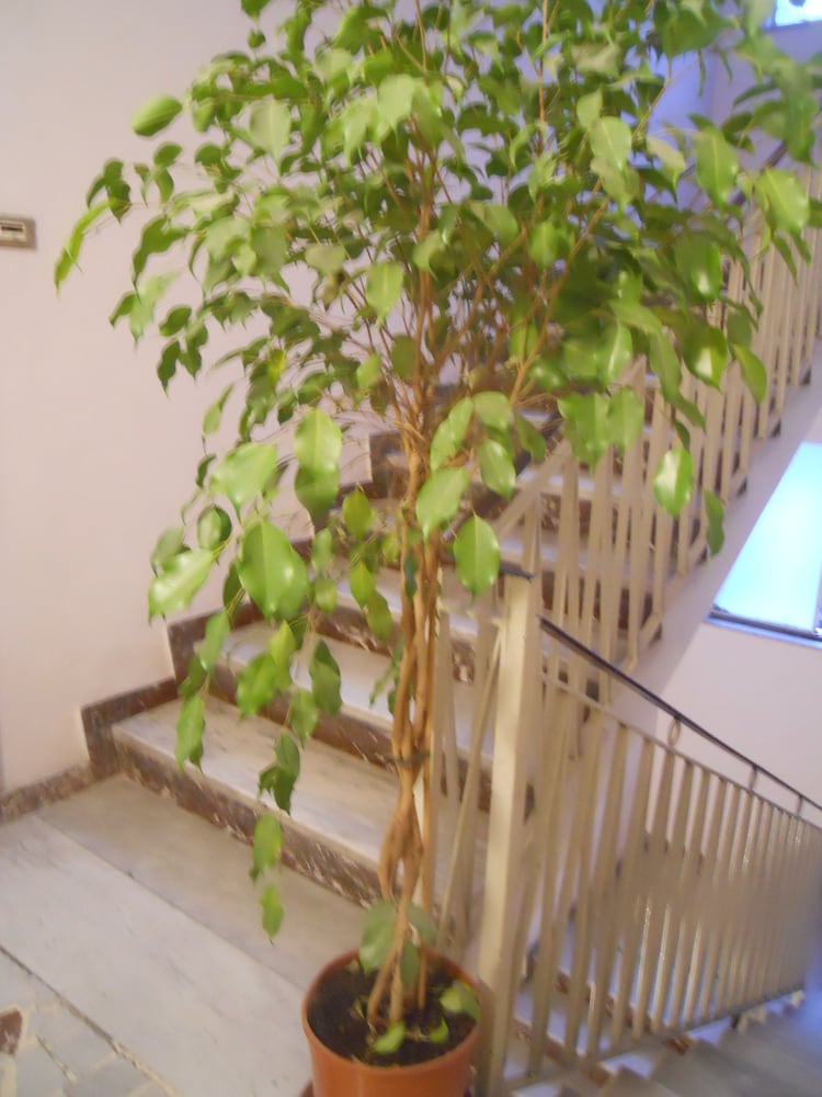 Catania Crossing B&B Rooms And Comforts 35/38