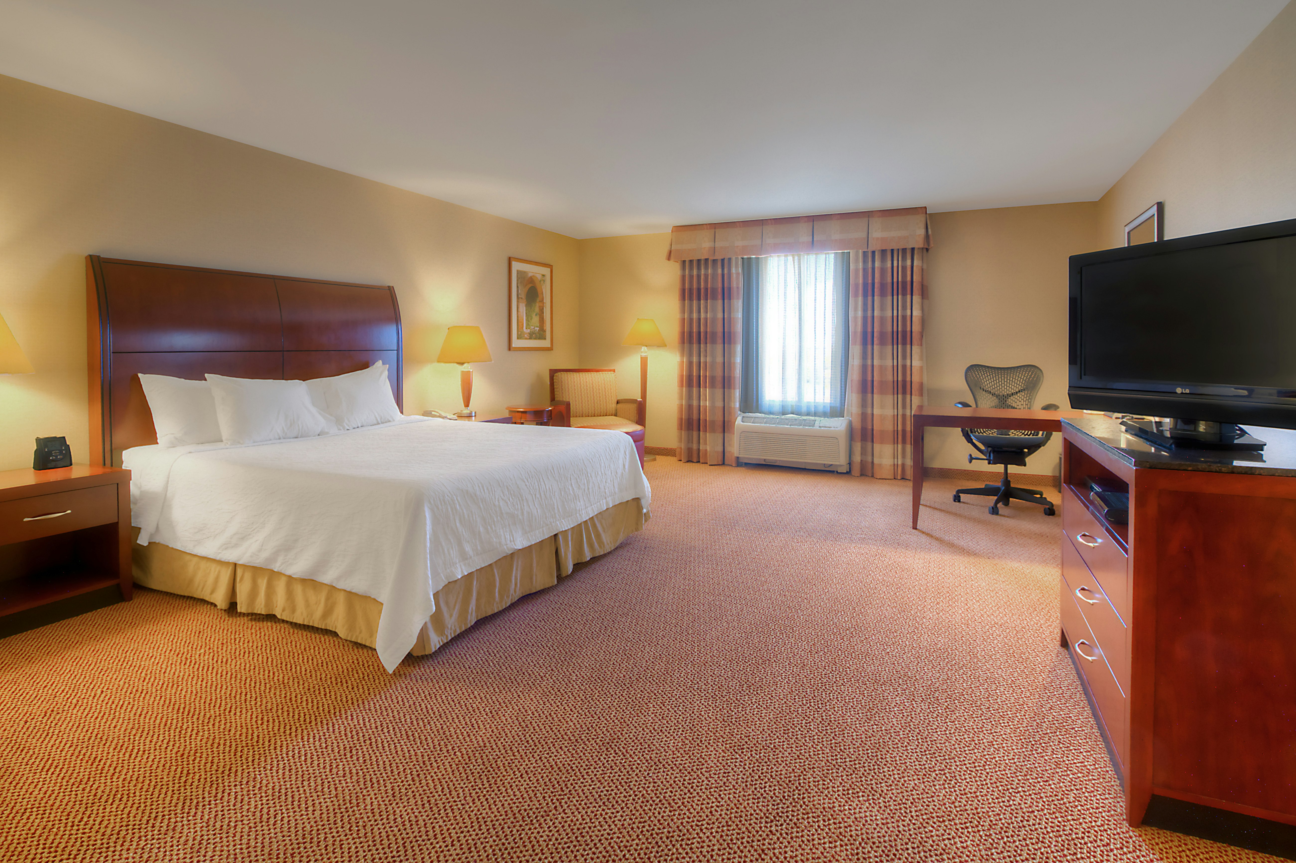 جناح بسرير كينج بغرفة نوم واحدة لذوي الإعاقة، Hilton Garden Inn Great Falls 2/3