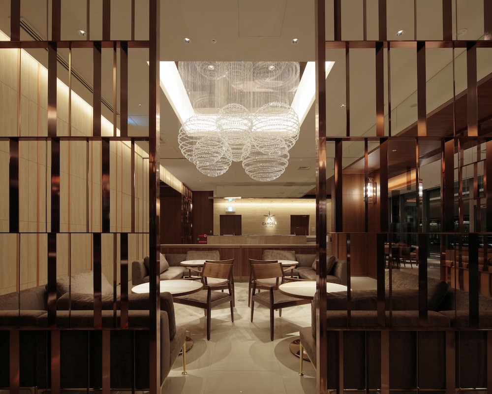 Candeo Hotels Osaka Shinsaibashi 45/50