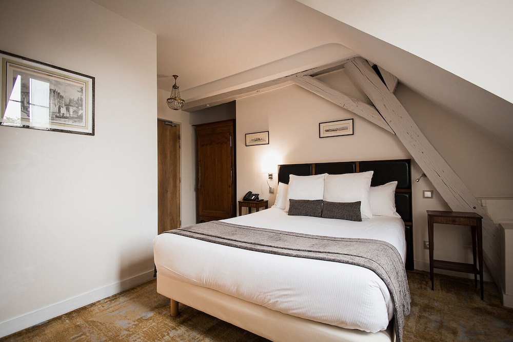 Hotel Au Charme Rabelaisien 15/50