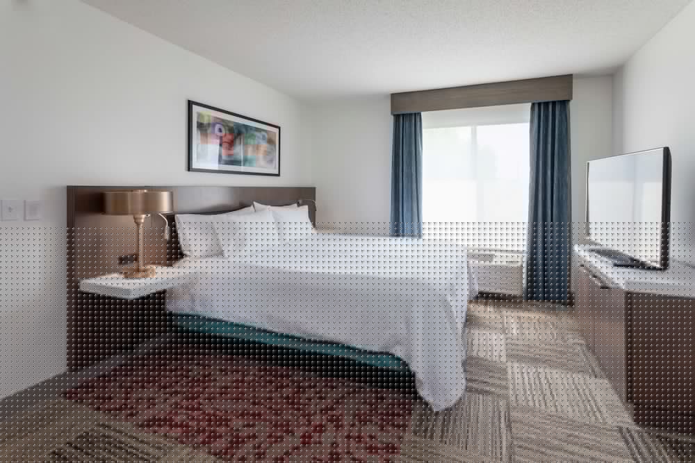 Hilton Garden Inn Minneapolis St. Paul-Shoreview 13/57