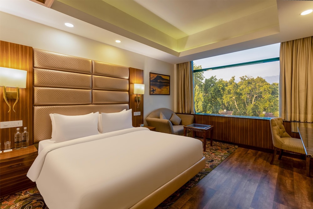 Radisson Srinagar 17/54