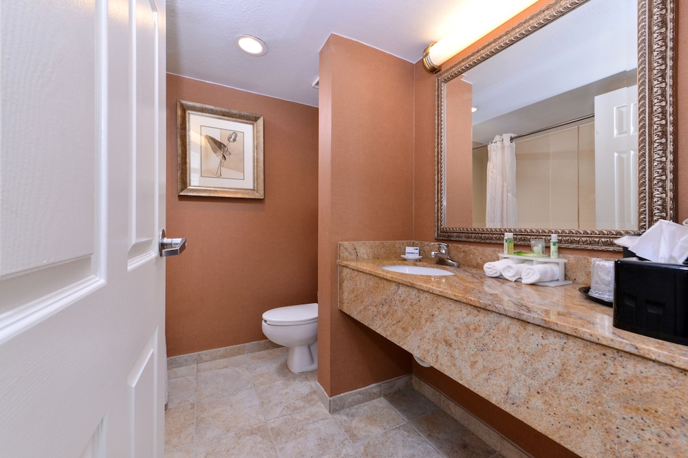 Holiday Inn Express Clearwater East Icot Center 34/78