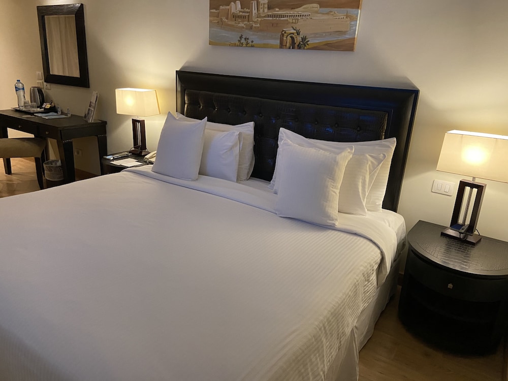 Barcelo Cairo Pyramids Hotel 17/50