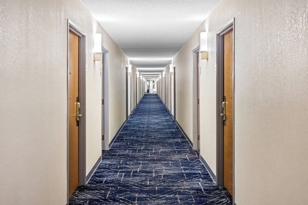 Comfort Inn & Suites Walterboro I-95 34/63