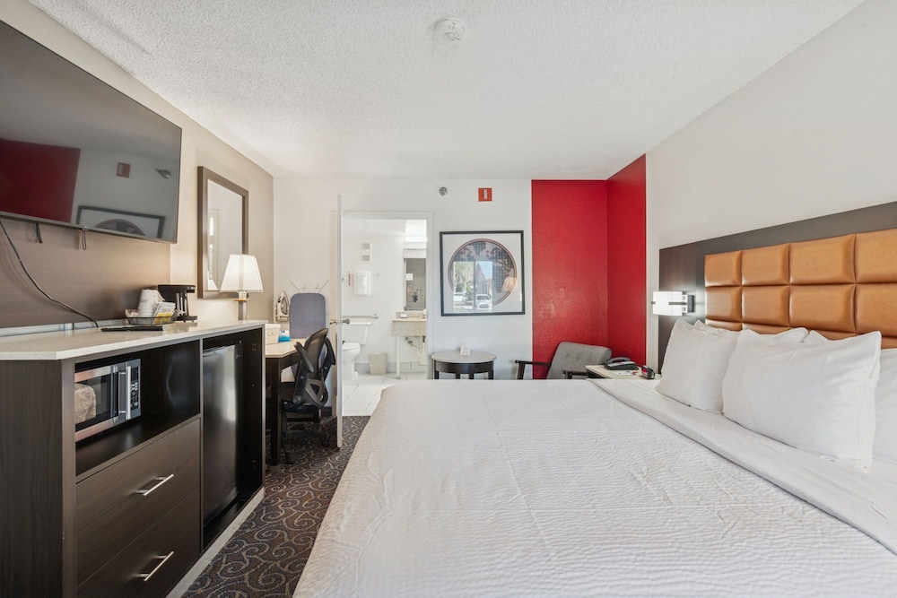 ROOM, QUEEN BED, ACCESSIBLE
