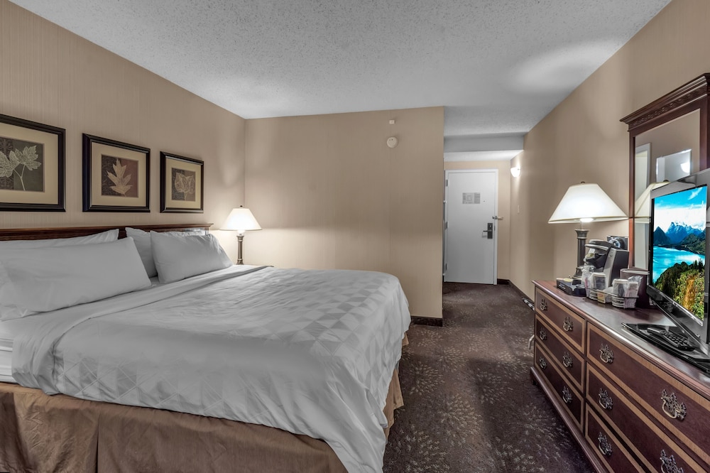 Buffalo Airport Hotel 24/61