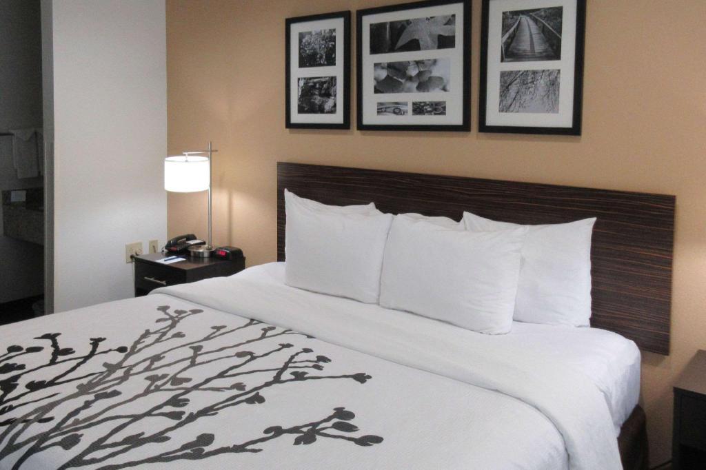 ROOM, QUEEN BED, ACCESSIBLE