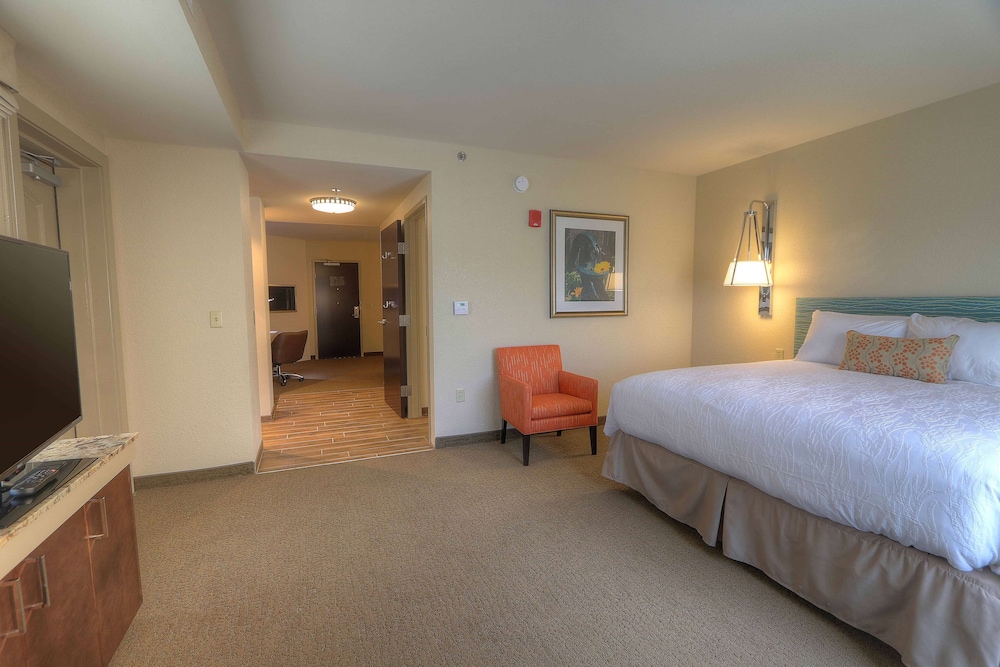 Hilton Garden Inn Pigeon Forge 13/50