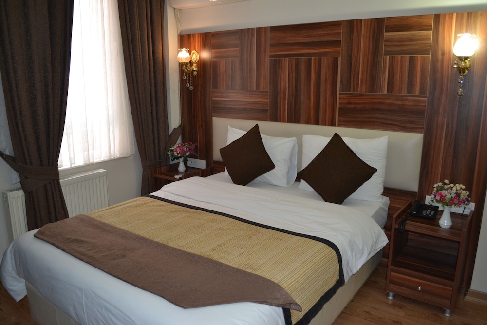 Grand Fatih Hotel 12/45