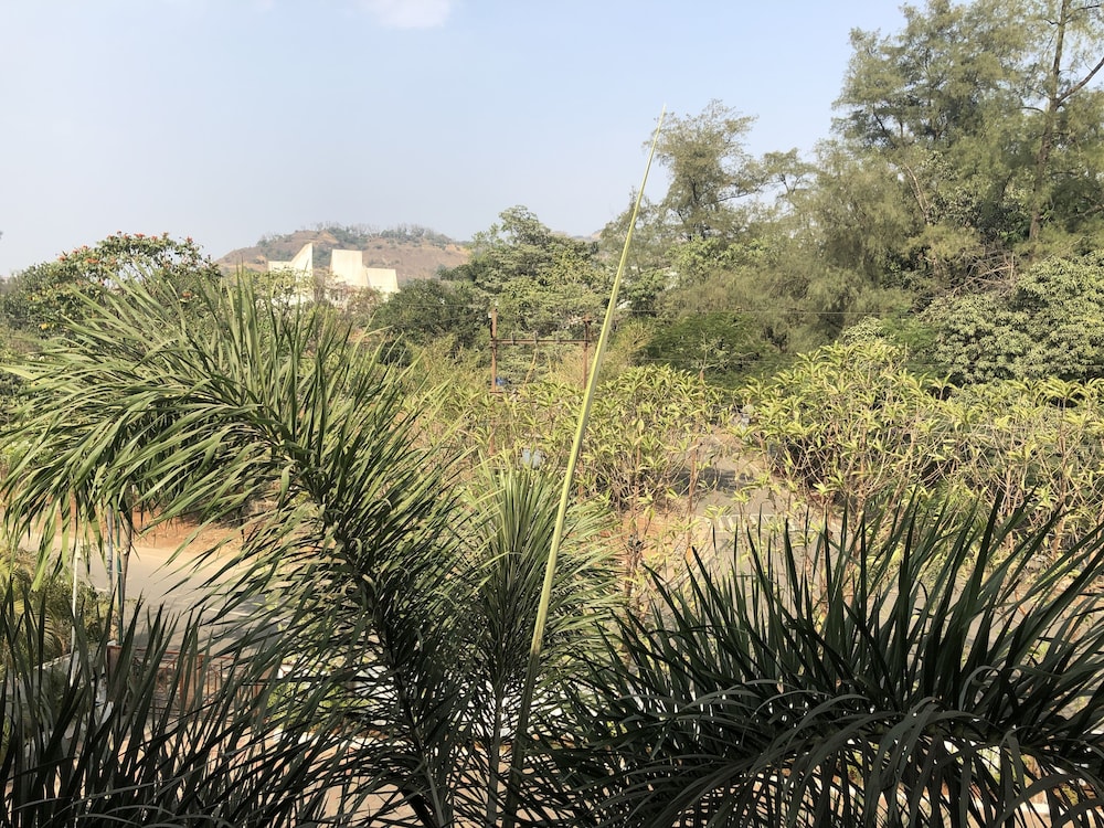 Resort Silver Hills 42/50