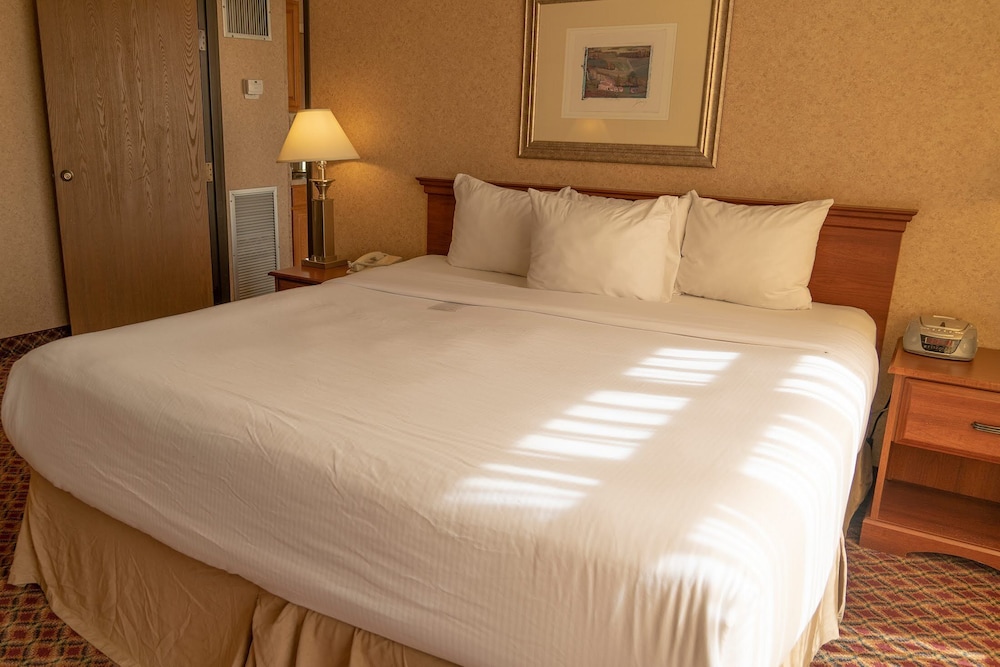 Ramada By Wyndham Topeka Downtown Hotel And Convention Center 9/36