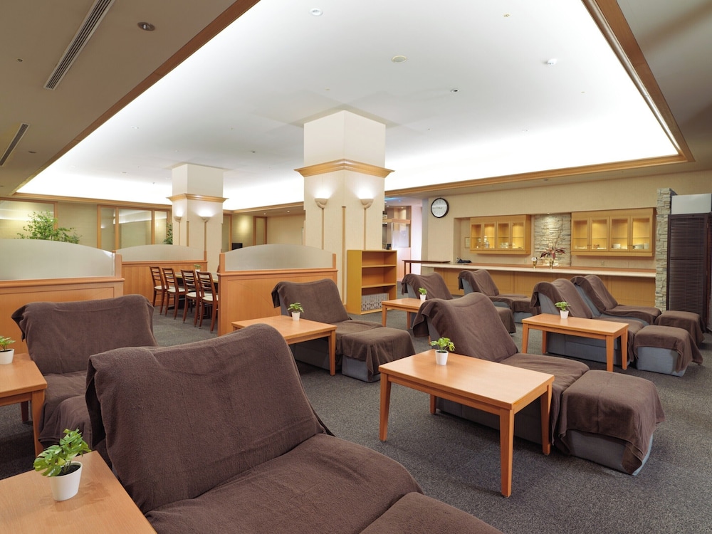 Hotel Emisia Sapporo 43/65