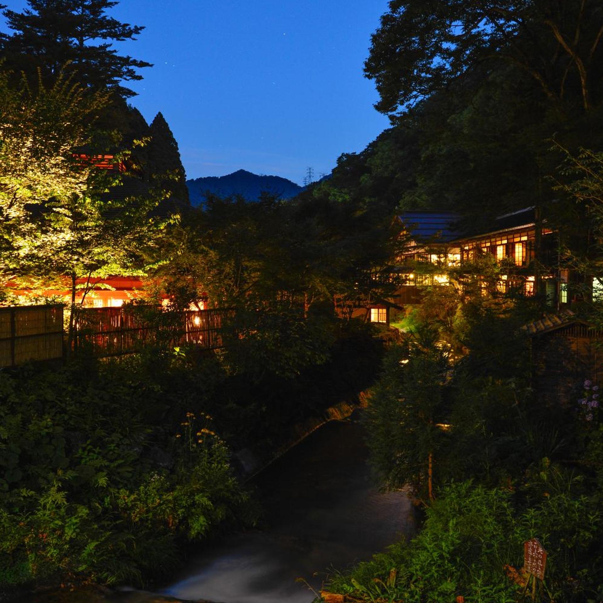 Hoshi Onsen Chojukan 38/50