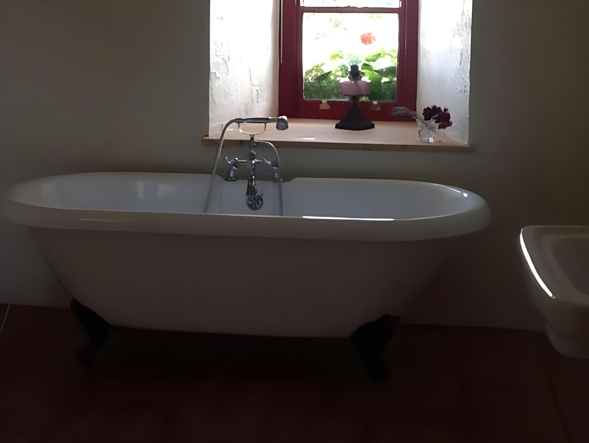 The Thatched Cottage B&B 25/25