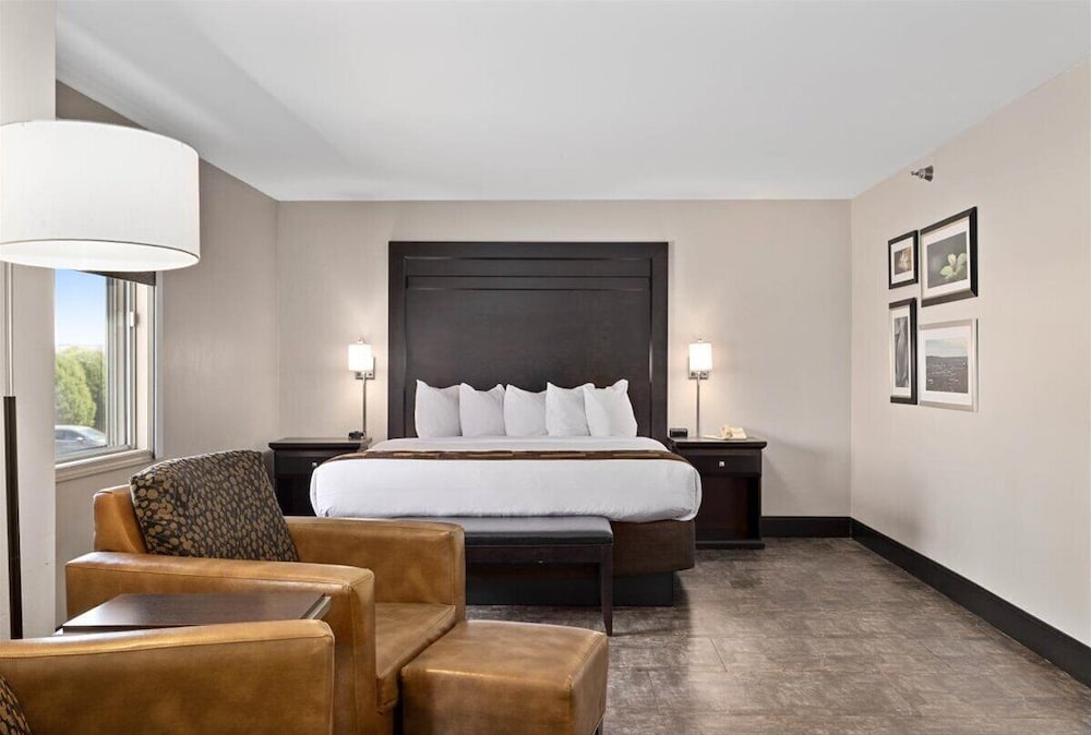 SUITE, KING BED