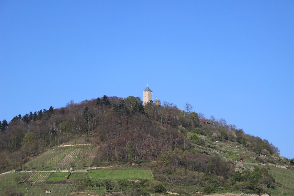 Hotel Halber Mond 40/50