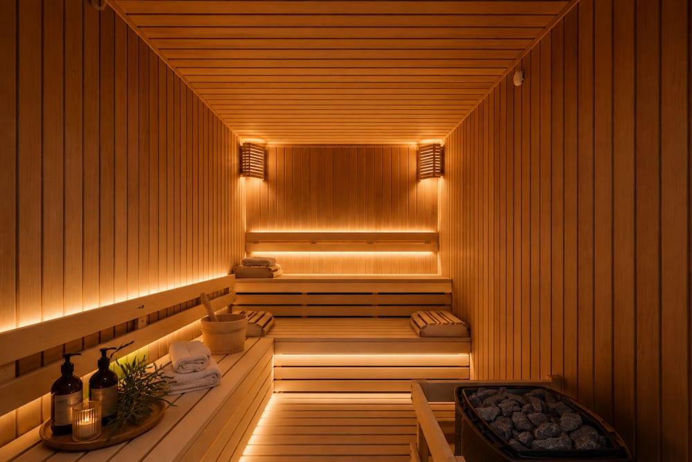 Regnum Bansko Apart Hotel Spa 21/48